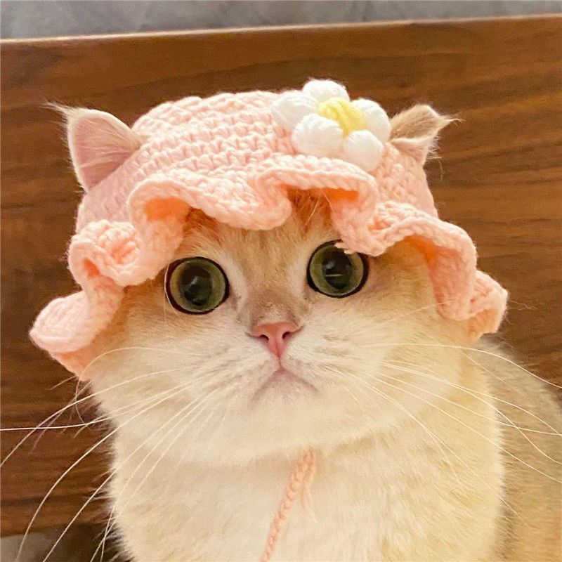 Bonnet en tricot douillet pour chats et chiots