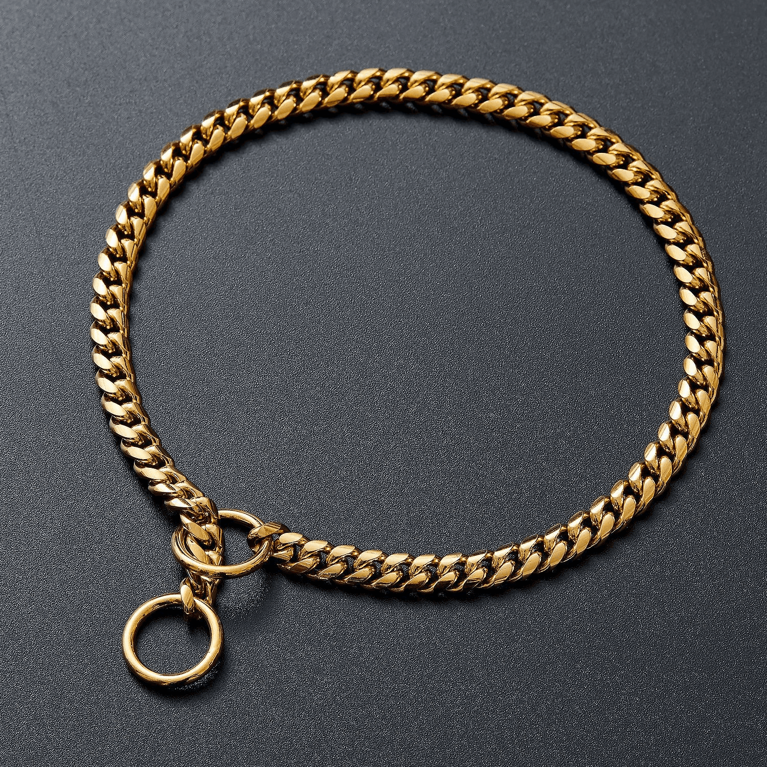 Parure complète pour chien : Laisse et collier renforcé en acier